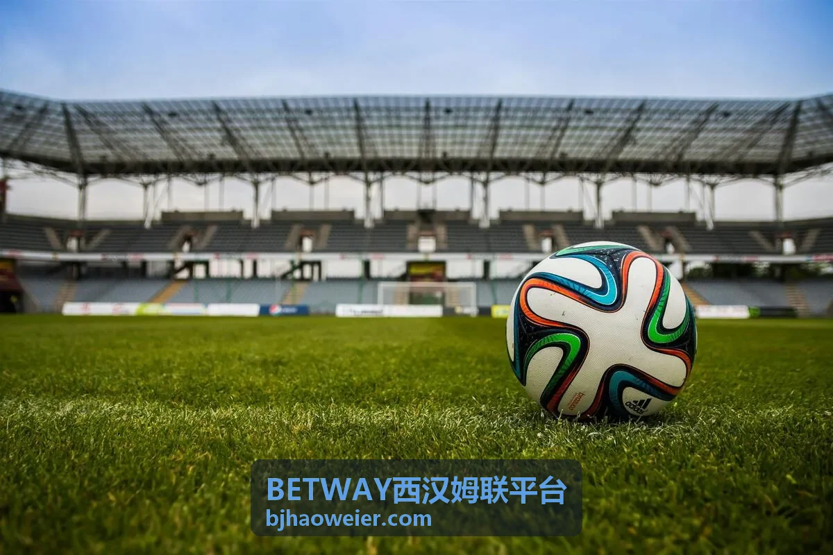 BETWAY西汉姆联平台极速服务