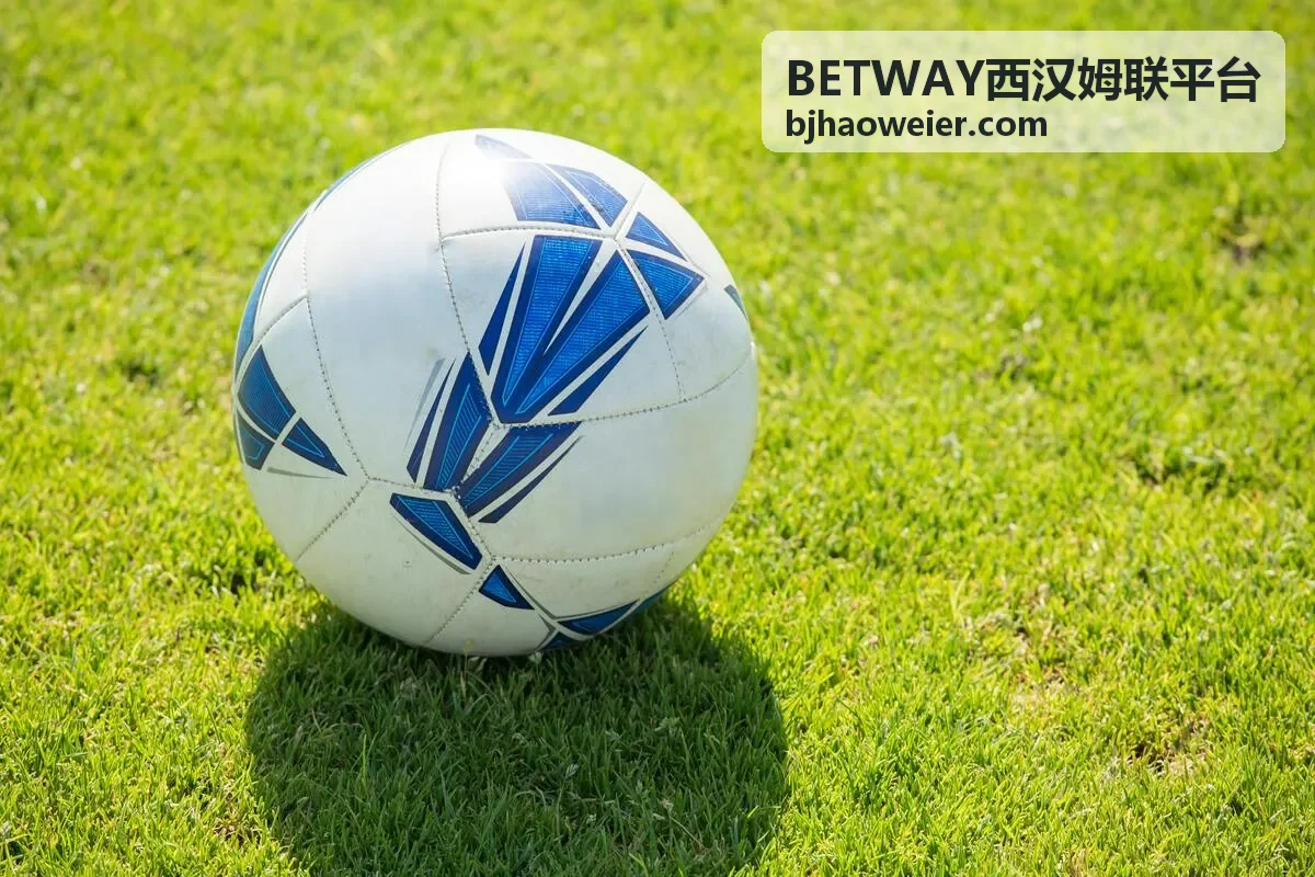 BETWAY西汉姆联平台安全防护